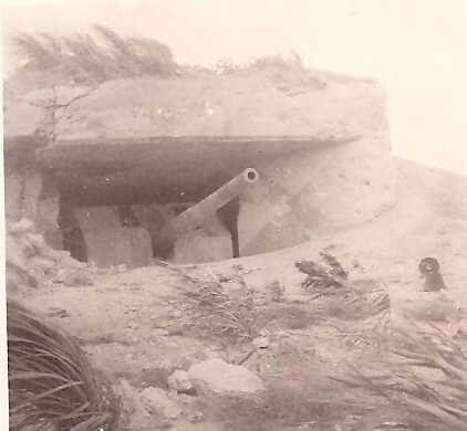 Japanese shore gun